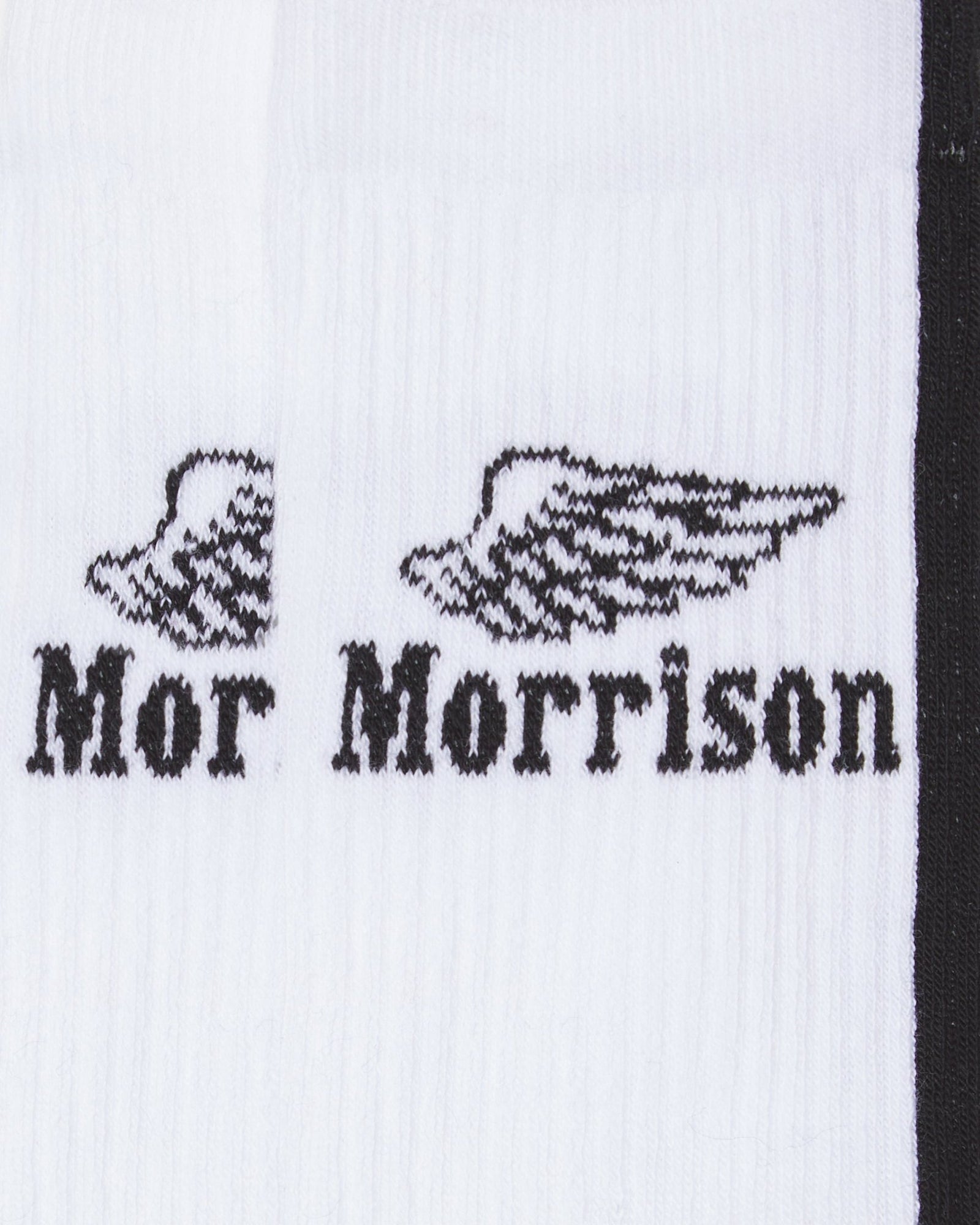 Basic White Wing - CALCETINES - Morrison Shoes
