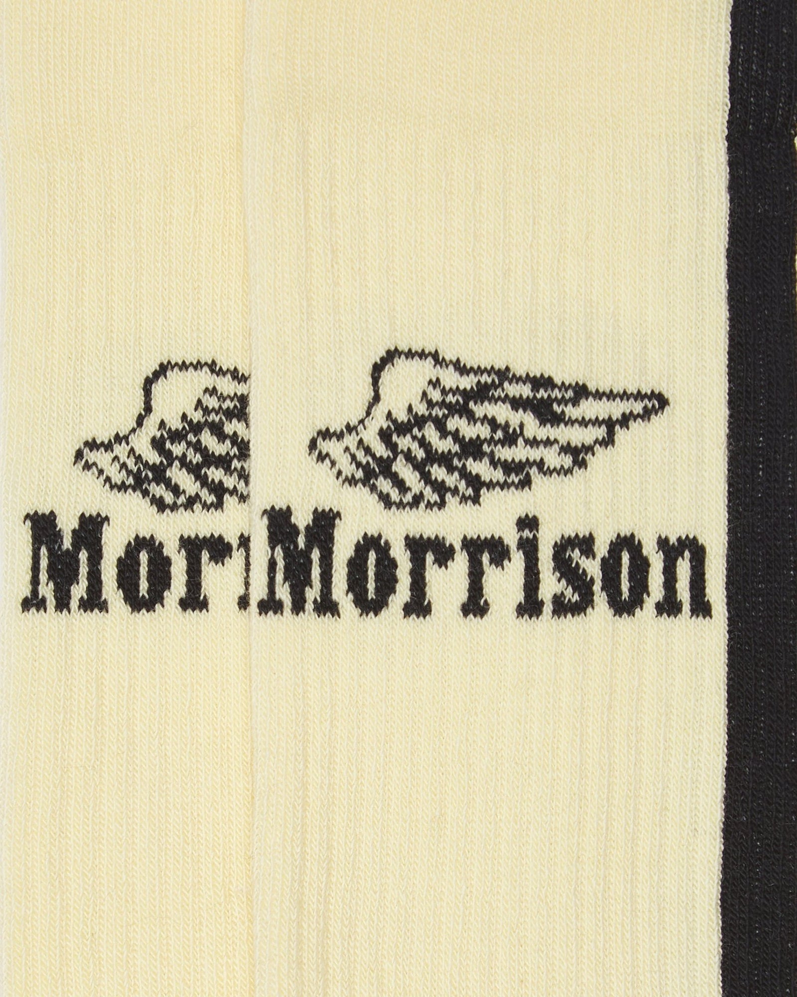 Basic Yellow Wing - CALCETINES - Morrison Shoes